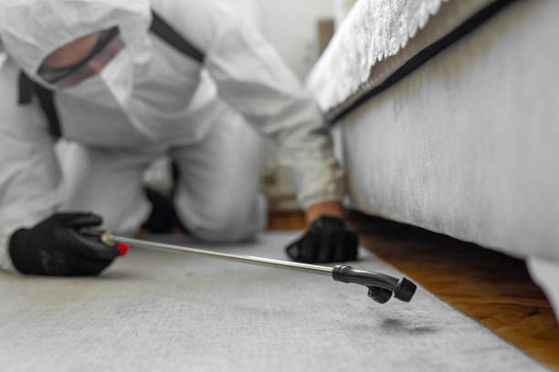 Professional Termite Control technician working in Lombard, IL