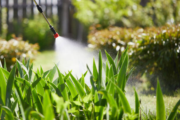 24/7 Emergency Termite Control experts in Lombard, IL